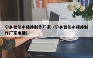 东明宁乡智能小程序制作厂家（宁乡智能小程序制作厂家电话）